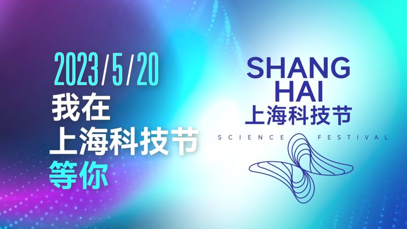 轻量化引擎：企业数字化转型的加速器